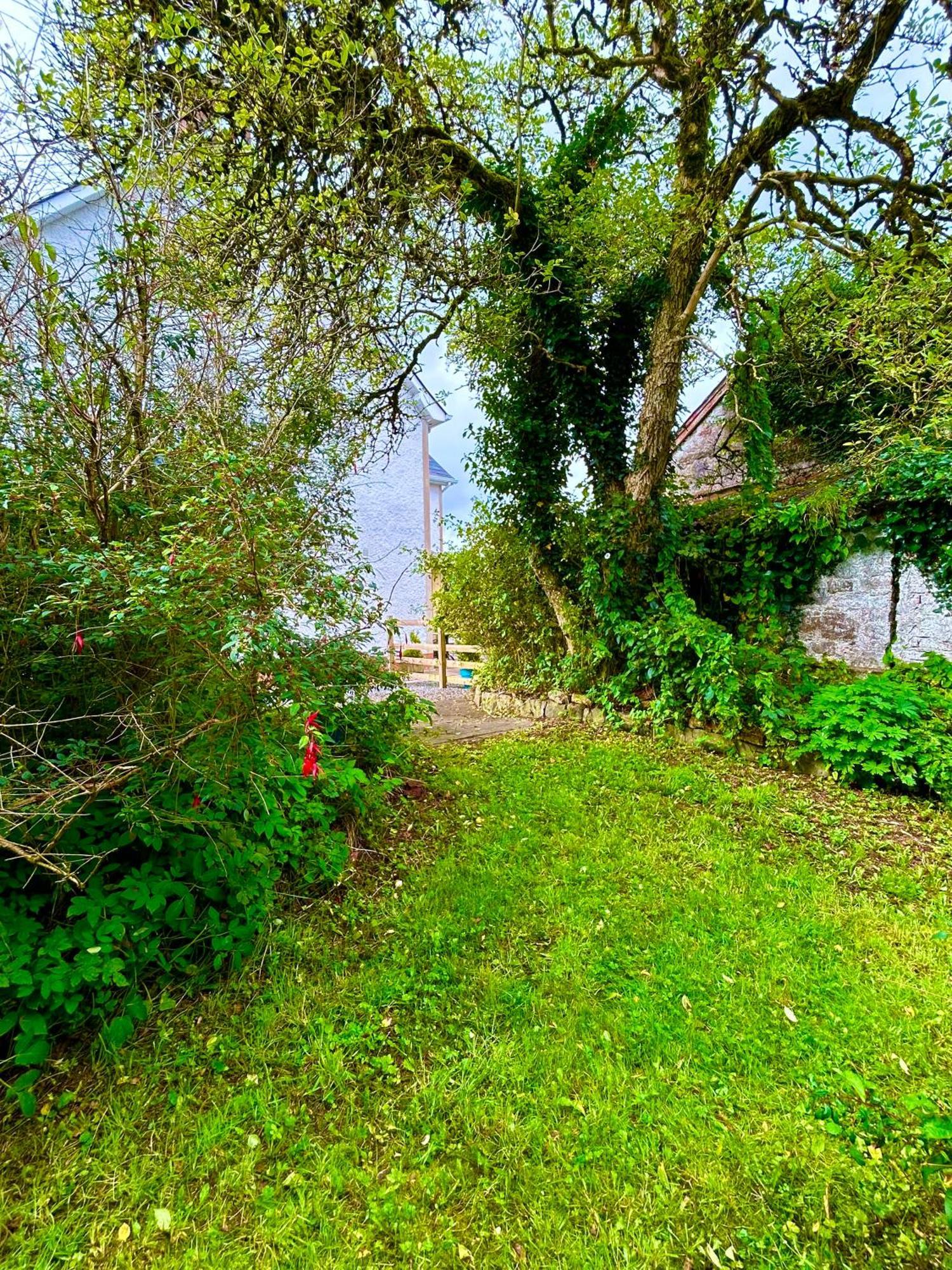 Lime Tree House Villa Maguires Bridge Buitenkant foto