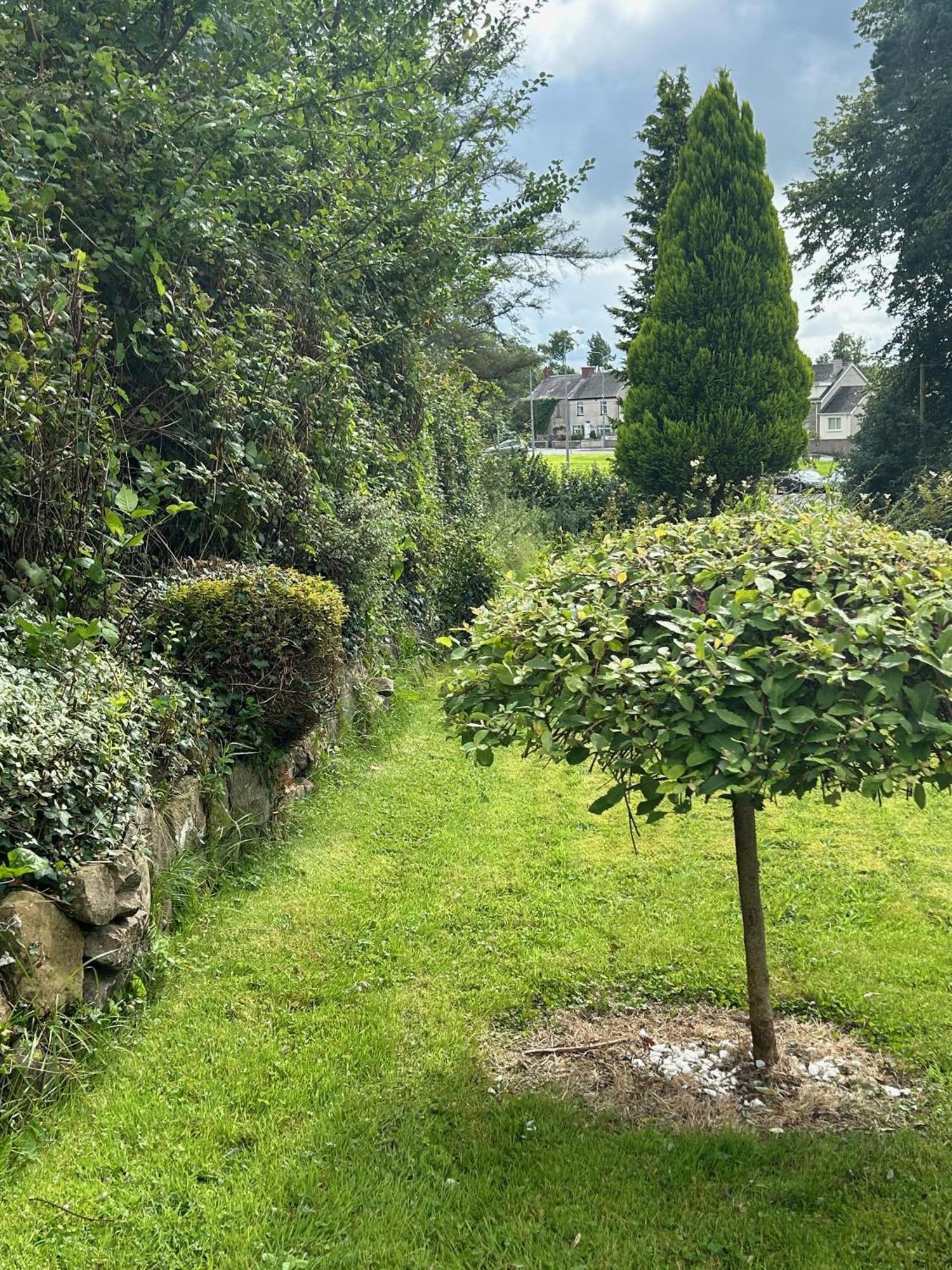 Lime Tree House Villa Maguires Bridge Buitenkant foto